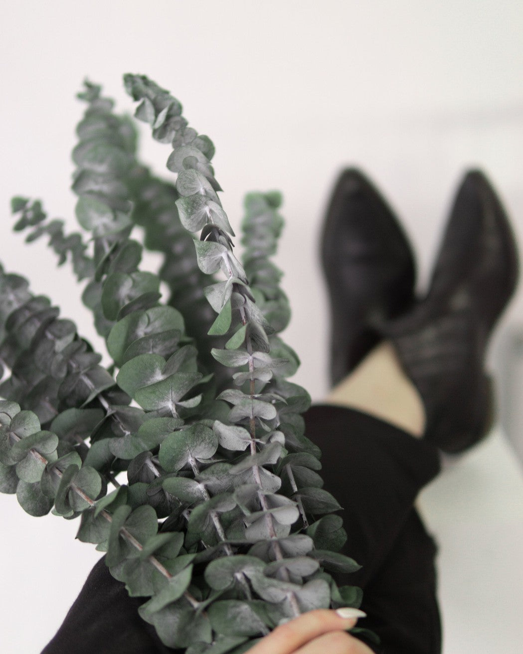 Green Eucalyptus - Image 5